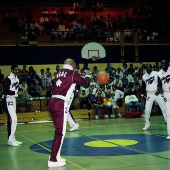 Meadowlarks Shooting Stars