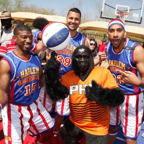 36 – Phoenix Suns Gorilla with Harlem Globetrotters 8300