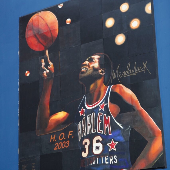 3B – Mural of Meadowlark 7963